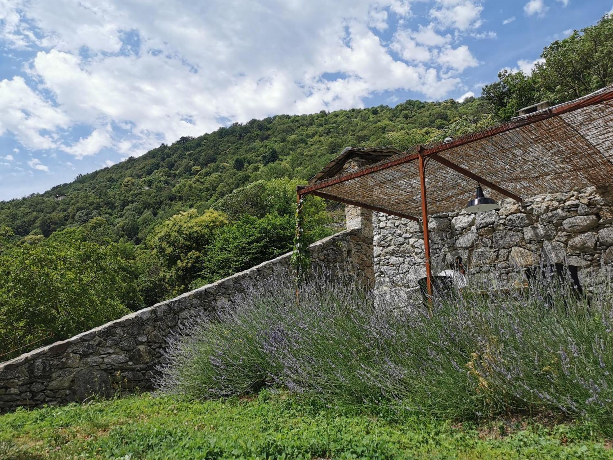 Borgo Selvapiana Villa Morbegno Dış mekan fotoğraf